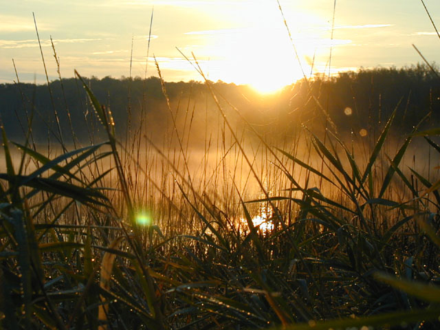 Sunrise